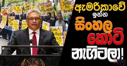 ඇමරිකාවේ ඉන්න සිංහල කොටි නැගිටලා !
