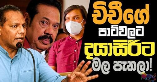 චිචීගේ පාට්වලට දයාසිරිට මල පැනලා !