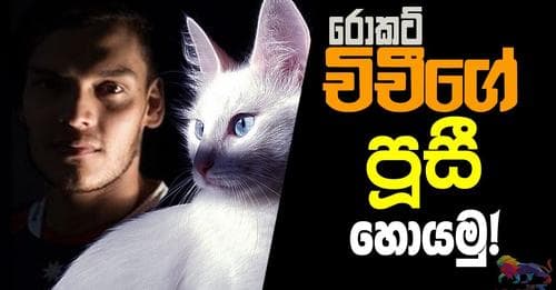 වෙන වැඩ නවත්තමු! රොකට් චිචීගේ පුසි හොයමු!
