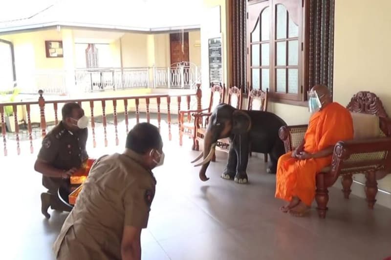 'පාස්කු චෝදනා' වලින් බේරා ගන්නැයි දේශබන්දු සහ මුණසිංහ මහ නාහිමියන්ට කියයි