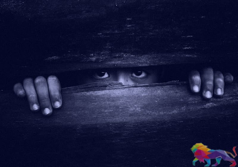 හඩනගන සුළුතරය සහ නිශ්ශබ්ද බහුතරය -ආචාර්ය ප්රදීප් එන් වීරසිංහ