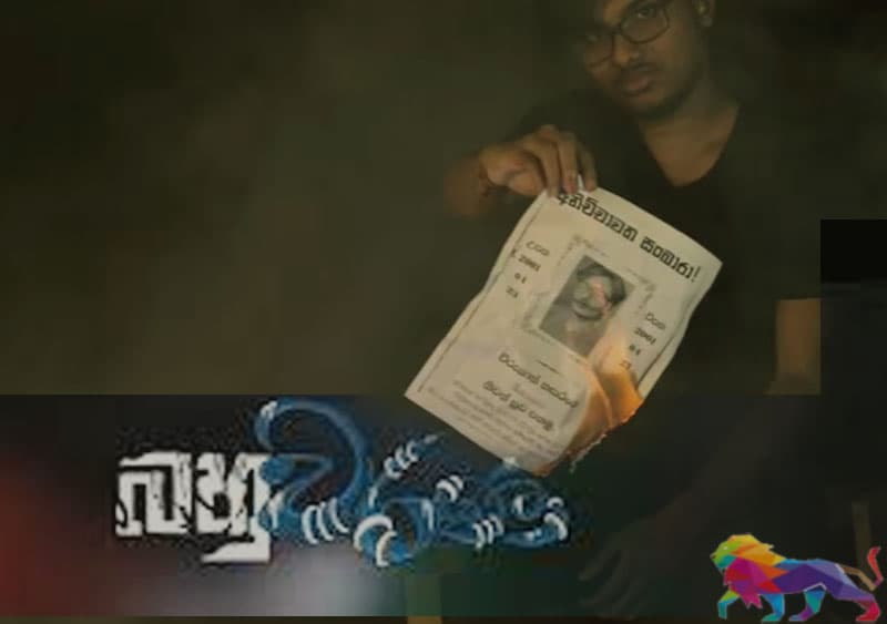 'බහුවරණ' : හදවතේ රිද්මයට සප්තස්වර සුසංයෝගකළ විරුෂාන් හසරංග