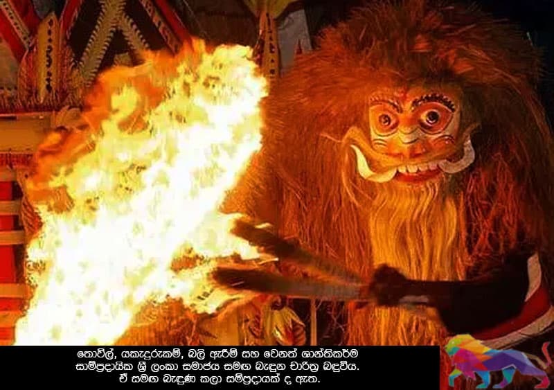 පාතිමා රිෂ්ෆා: 'කට්ටඩි' ඇදුරන්ගේ 'ආතුරයන්' බවට පත් සමාජයක තවත් ගොදුරක්!