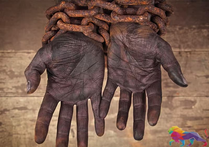 සේද මාවතේ ඉපැරණි වහල් වෙළදාම - (රසික එස් චන්ද්රසේකර)