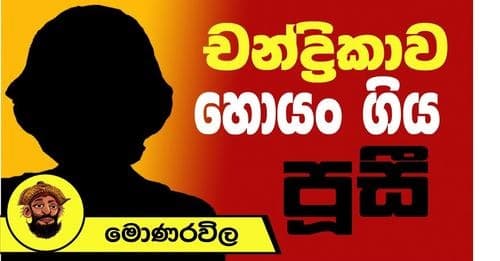 චන්ද්රිකාව හොයං ගිය පූසී