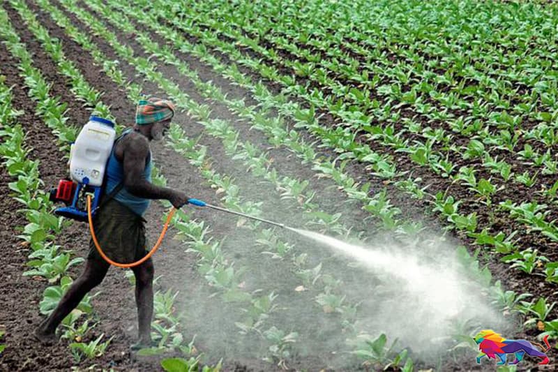 රසායනික පොහොර තහනම විප්ලවයක් වන්නේ කෙසේද? -අජිත් පැරකුම් ජයසිංහ