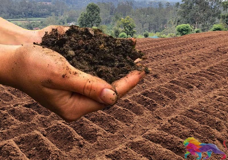 මහ ව්යසනයක පෙරනිමිති පෙන්වන පොහොර අර්බුදය