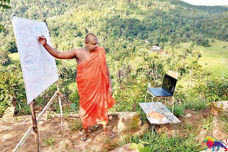 AP ඡායාරූප කතාව: ලෝකයම දුටු දරුවන් කඳු හා ගස් නගින ලංකාවේ 'මාර්ගගත අධ්යපනය'