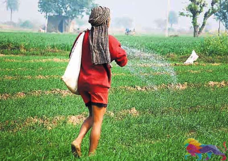 පොහොර ප්රශ්නයේ කතිකාව -මහාචාර්ය චරිත හේරත්