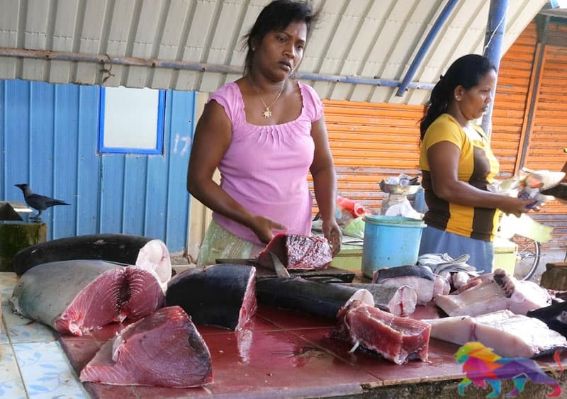 කාන්තාව හා අභ්යන්තර ධිවර කර්මාන්තය - (CENWOR)