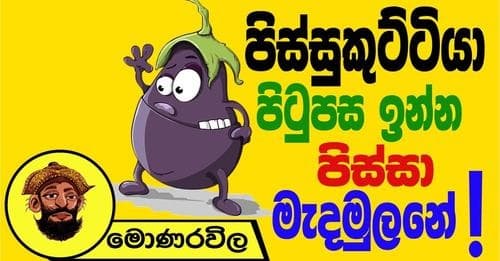 පිස්සුකුට්ටයා පිටුපස ඉන්න පිස්සා මැදමුලනේ !