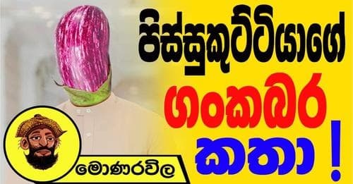 පිස්සුකුට්ටියාගේ ගංකබර කතා!