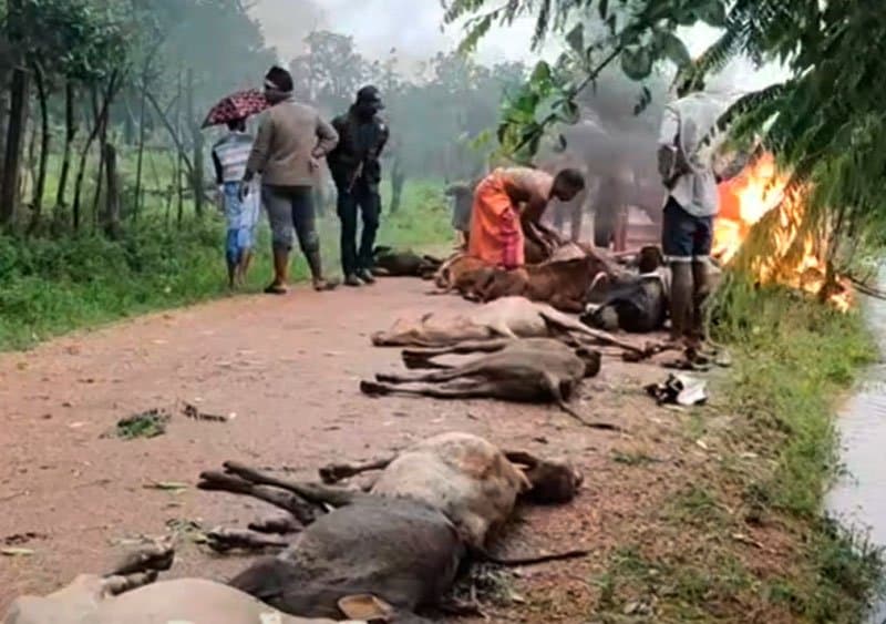එව, බලව! - (චින්තන ධර්මදාස)