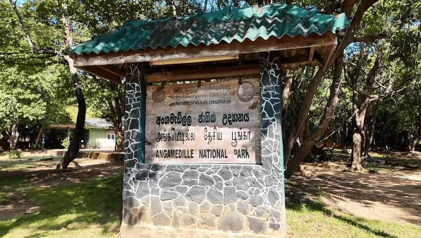 පොළොන්නරුවේ නව ඇත්අතුරු සෙවණින් වන අලි පරපුරට රැකවරණයක්