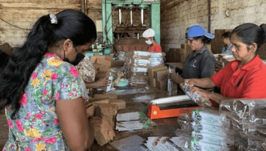 දේශීය නිෂ්පාදන ලෝකයට ගෙනියන්න පළාත් මට්ටමින් ‘ඇසුරුම් සායන’