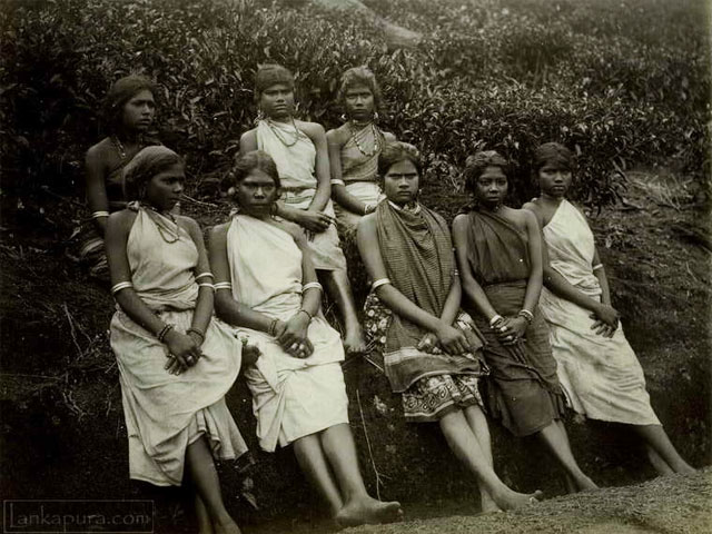 Indian Tamil Girls in lanka