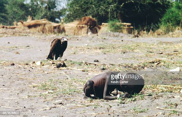 Vulture Watching Starving Child, 1st March 1993. (Photo by Kevin Carter/Sygma/Sygma via Getty Images)