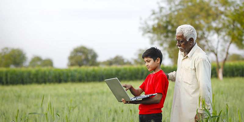 indian farmer with his grand son at wheat field, using laptop