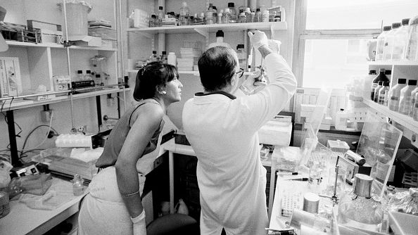 Le laboratoire de recherche sur le sida et l'interf?ron du professeur Luc Montagnier, de dos, ? l'Institut Pasteur en ao?t 1987 ? Paris, France. (Photo by Francois LOCHON/Gamma-Rapho via Getty Images)