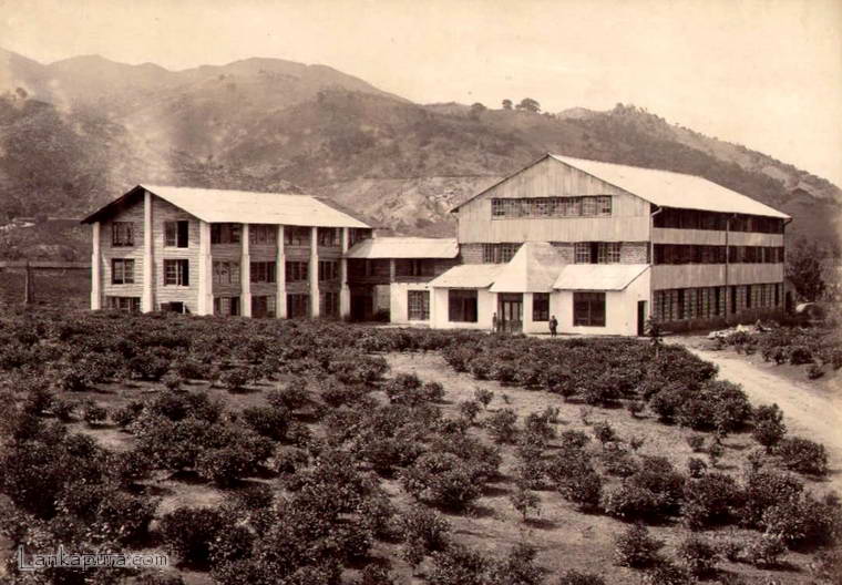 ceylon tea factory 1900