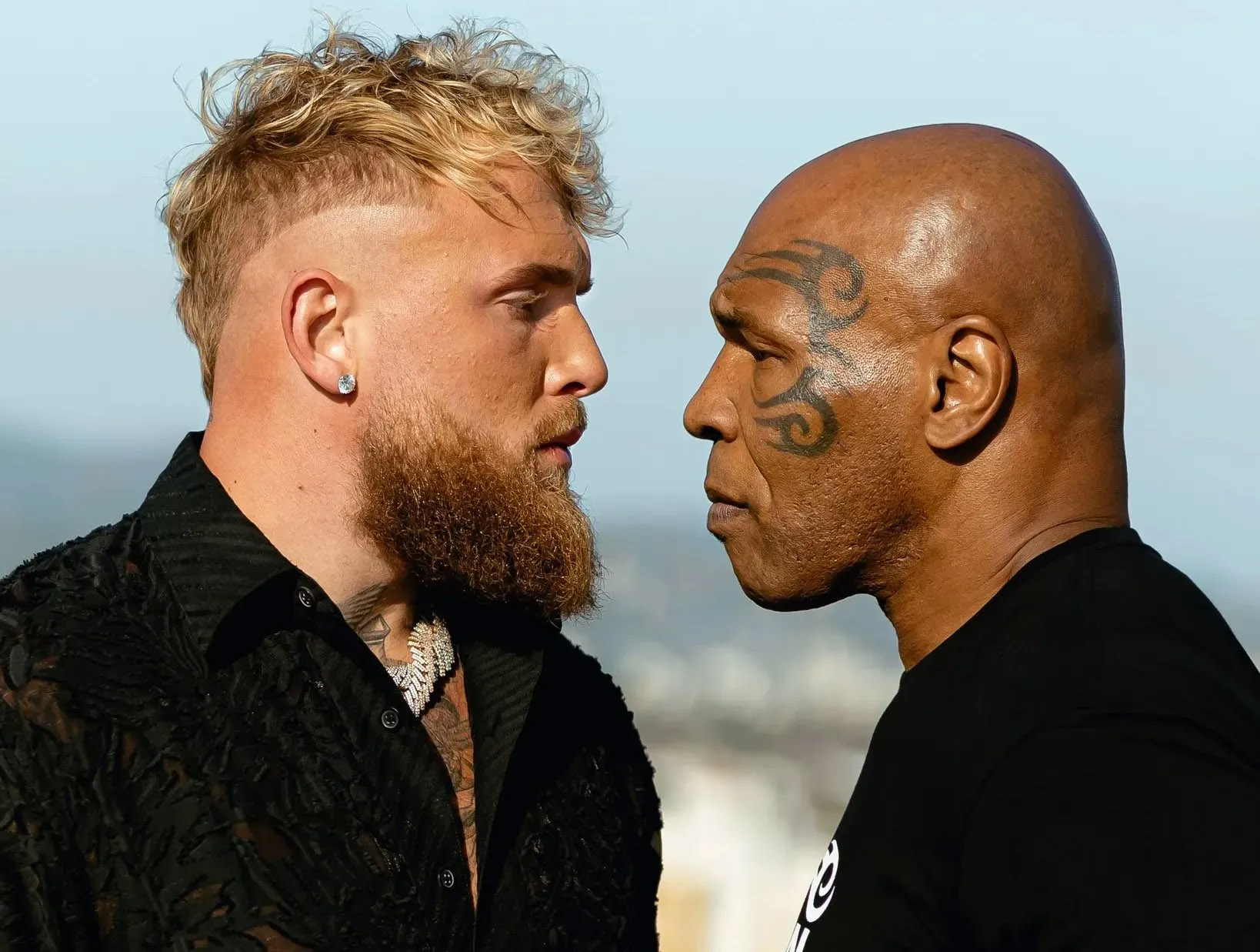 fight