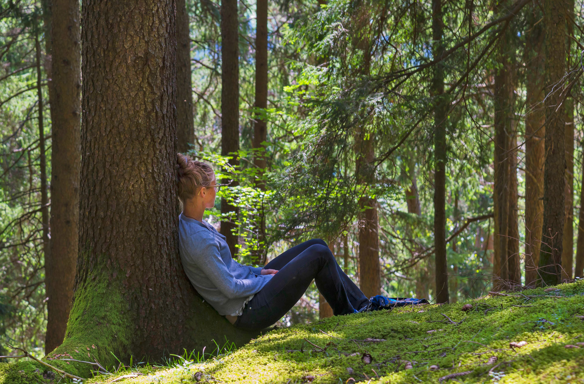 forest therapy