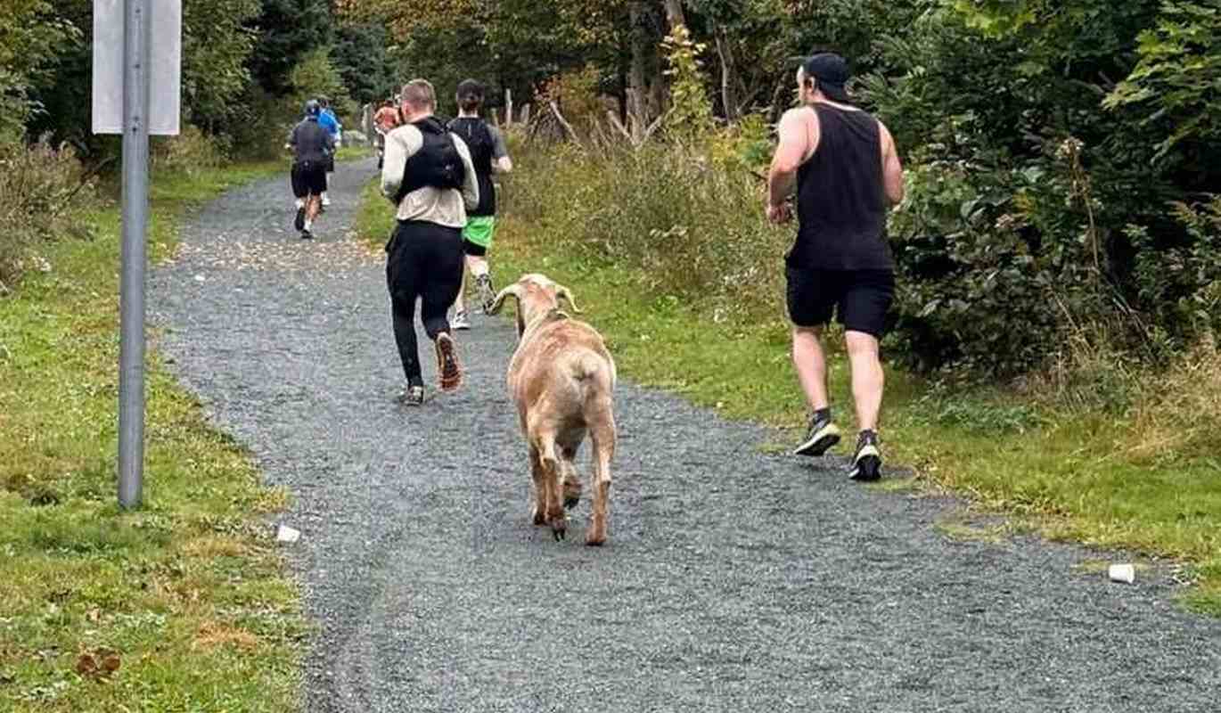 Town of Conception Bay South retrieved from Facebook