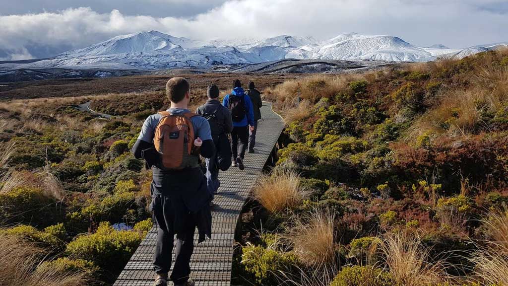 new zealand tourism 030924 01 1725335120