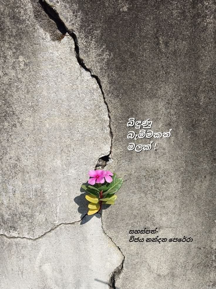 WhatsApp Image 2025 04 04 at 11.05.09 AM 1