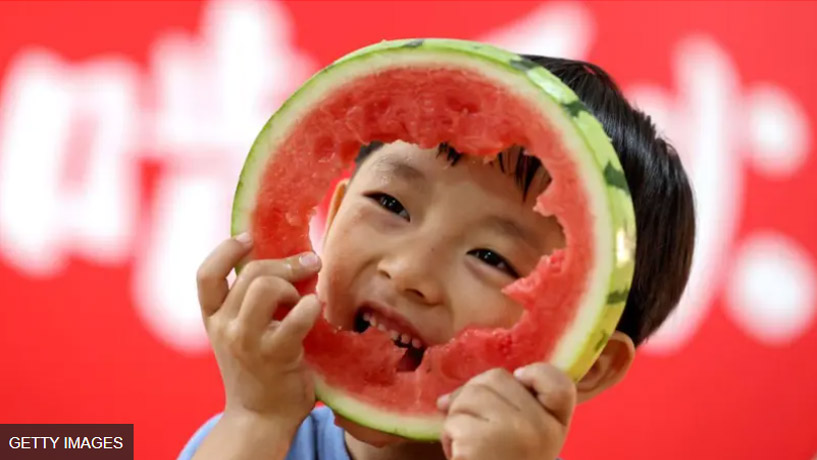 watermelan