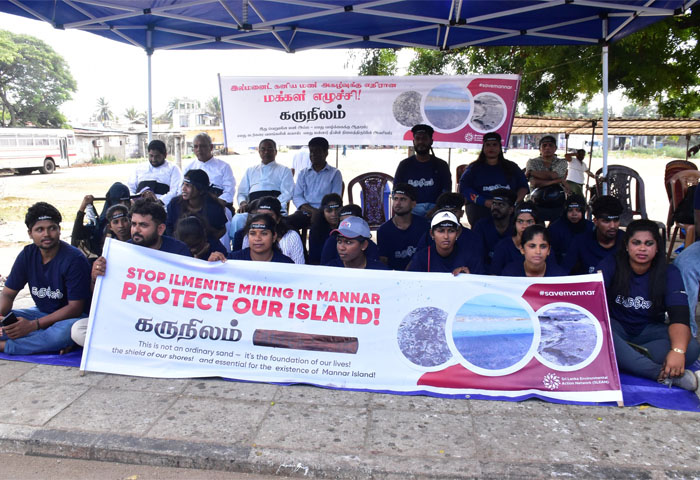 mannar 7 3