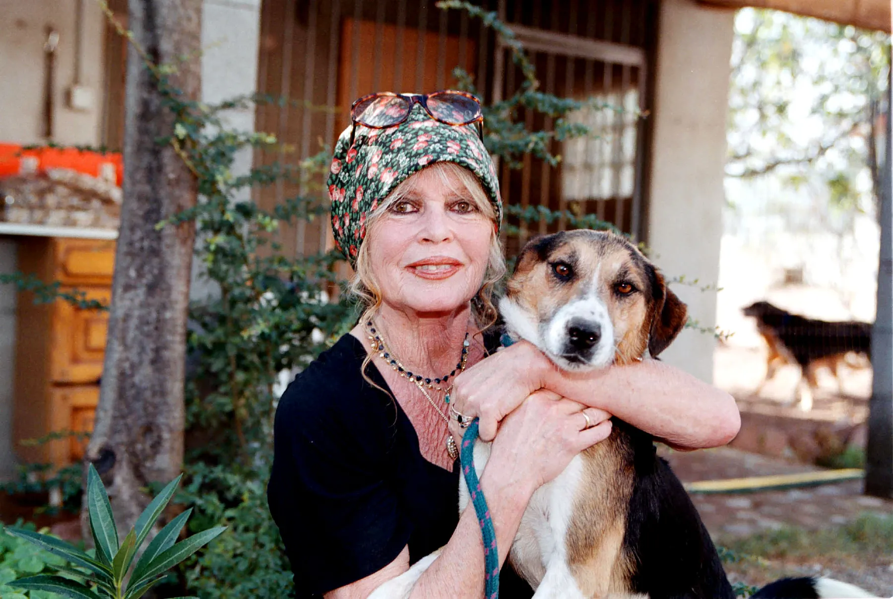 bardot