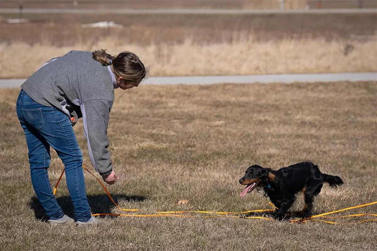 495948 training recall puppy hero 1200x800
