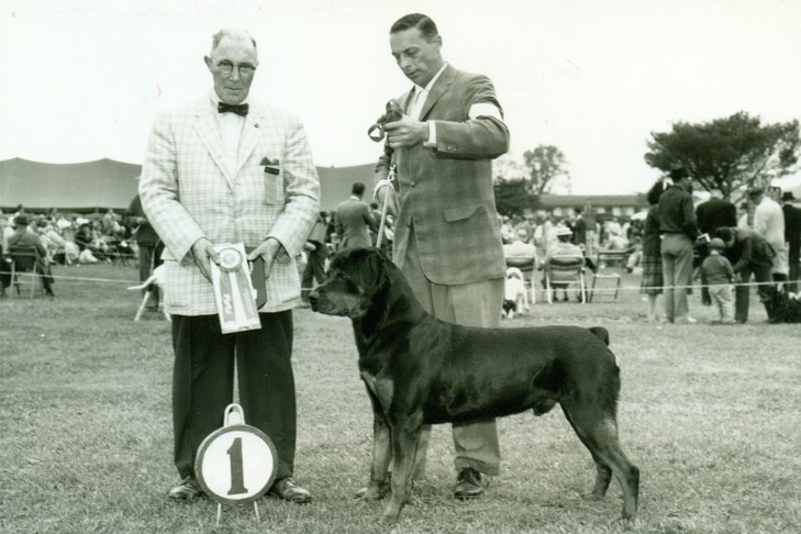 RottieHistorical3