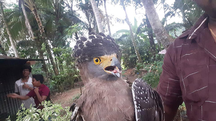 තුවාල ලබා අවතැන් වූ උකුස්සෙක්