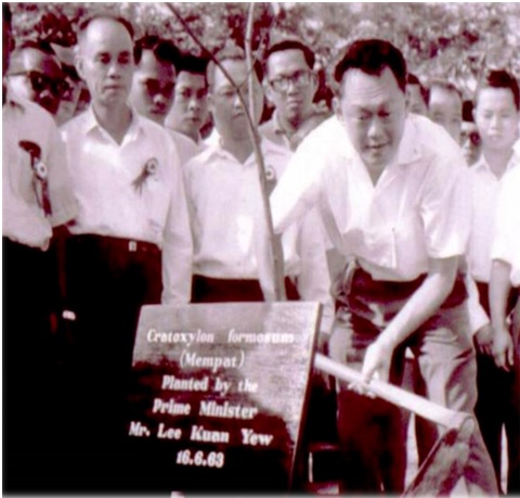 lky