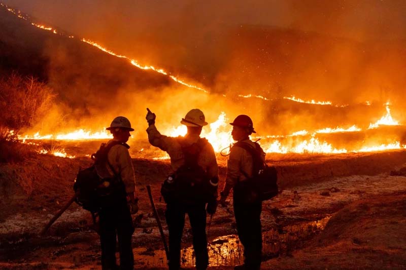 wildfire6