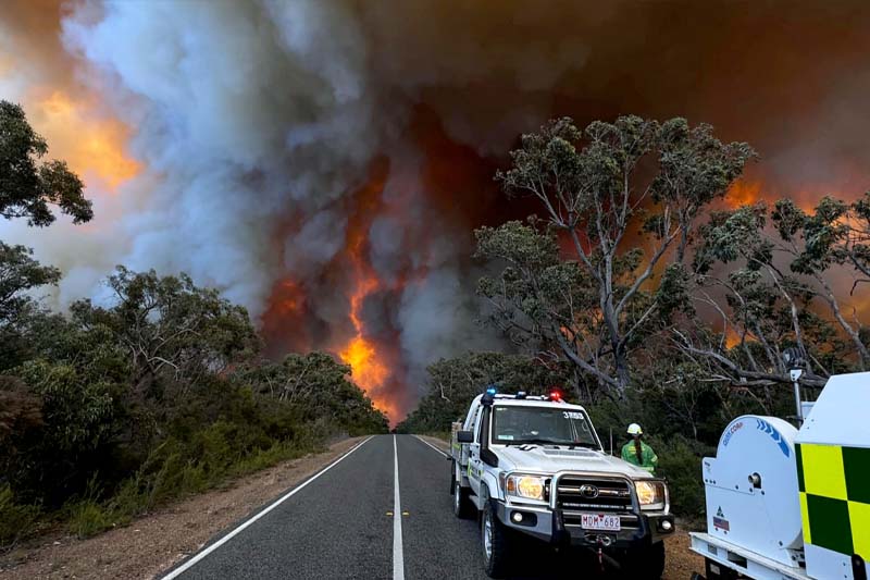 wildfireaus