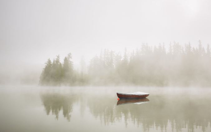 mist