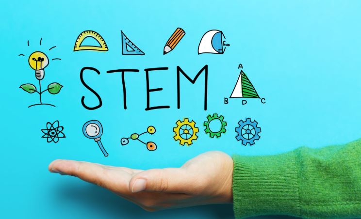 stem