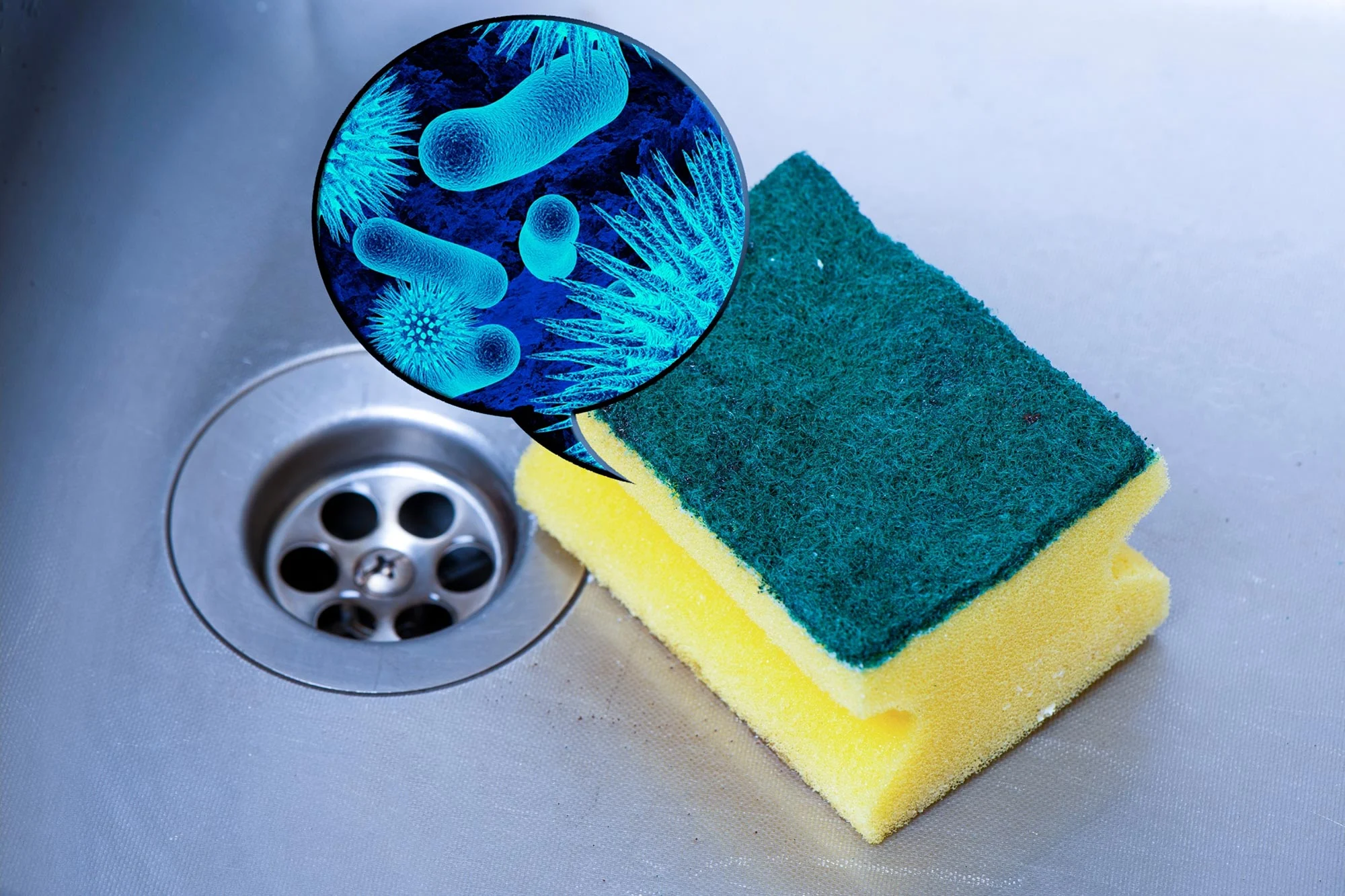 Dirty Kitchen Sponge Bacteria