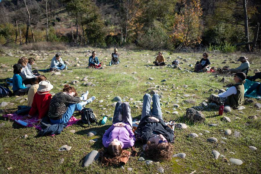 banner ecotherapy small