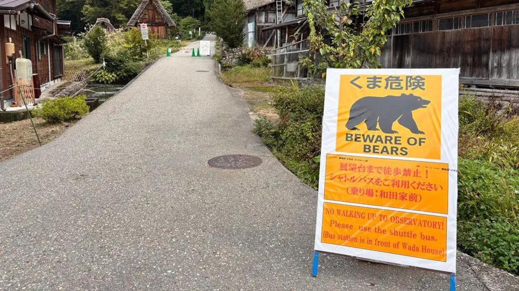 bear post