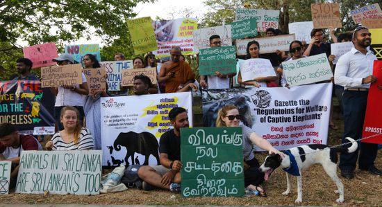 group animal rights activists hold placards during 550nw 10567962e