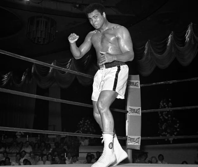 ali37