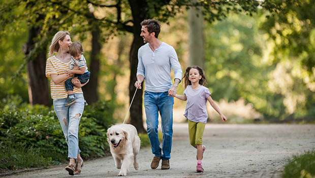 Happy family talking while walking with a dog in springtime at the park.