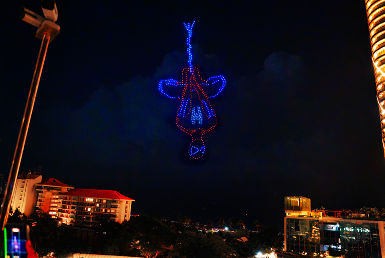 Spider ManDSC02682 1
