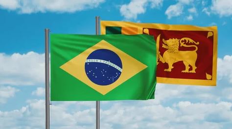 brasil owu