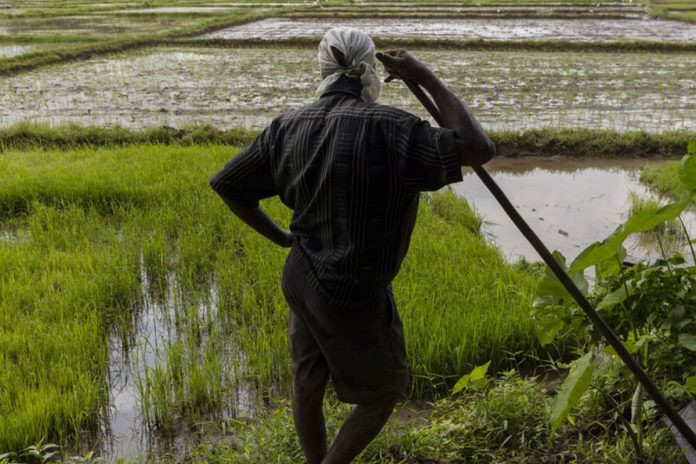 Farmer 696x464 1