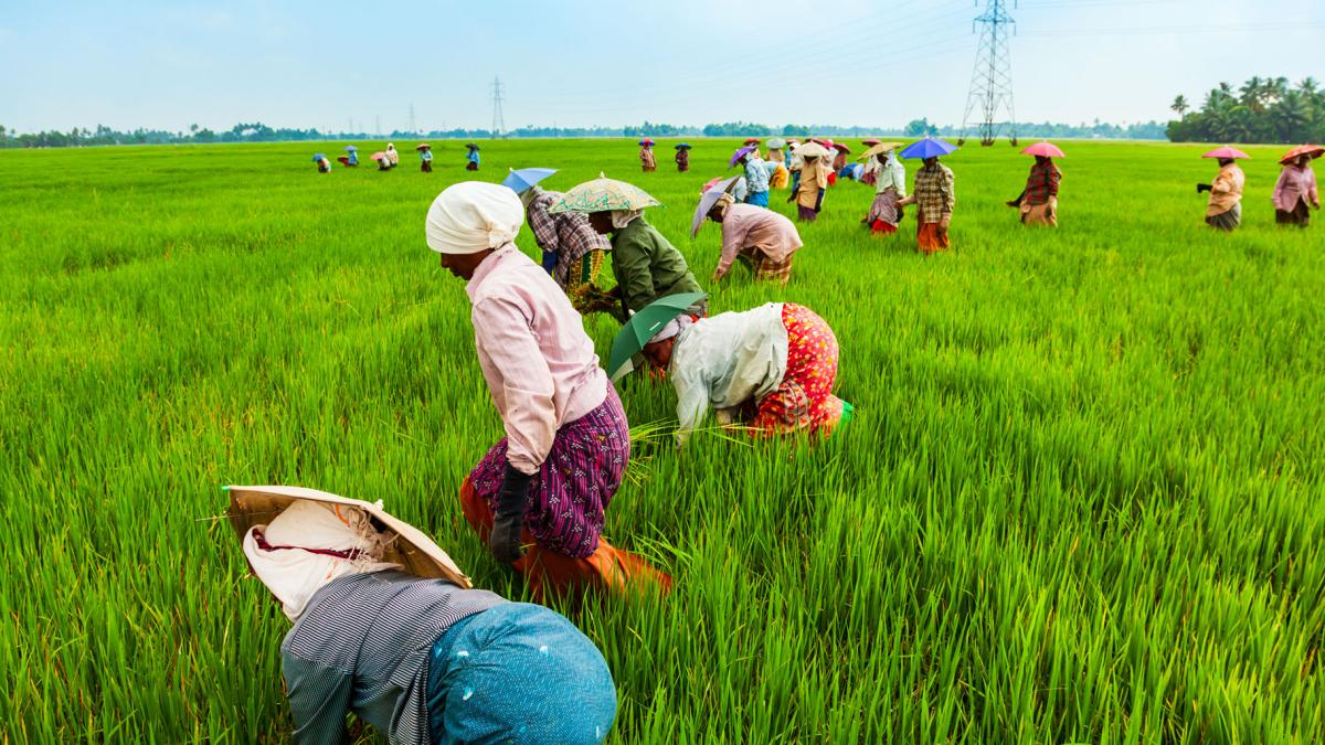 RS2085 food agriculture topic